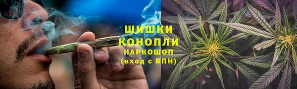 шишки Белокуриха