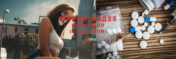 шишки Белокуриха