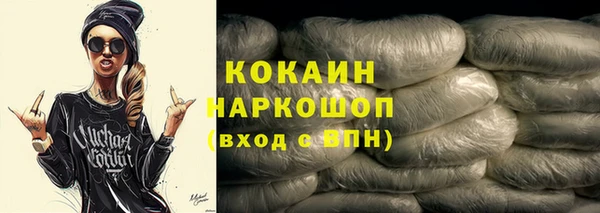 шишки Белокуриха