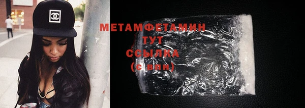 шишки Белокуриха