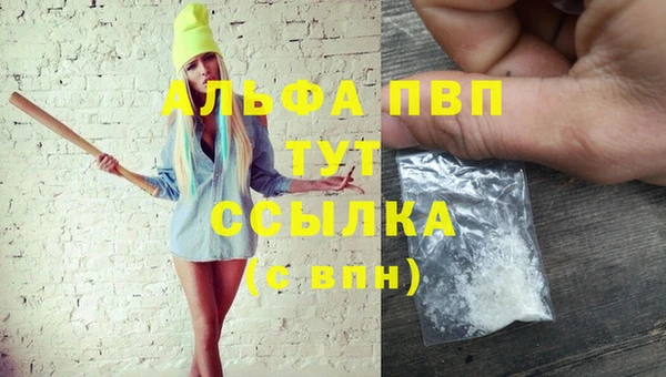 шишки Белокуриха