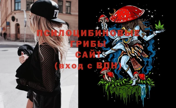 шишки Белокуриха