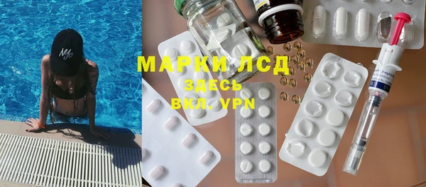 шишки Белокуриха