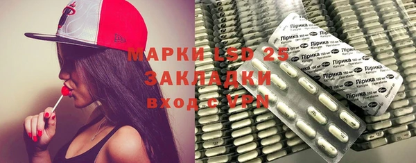шишки Белокуриха
