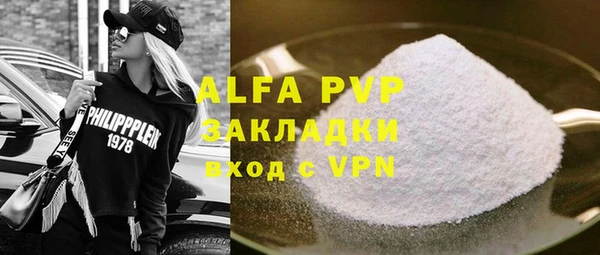 шишки Белокуриха