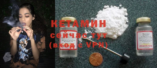 шишки Белокуриха