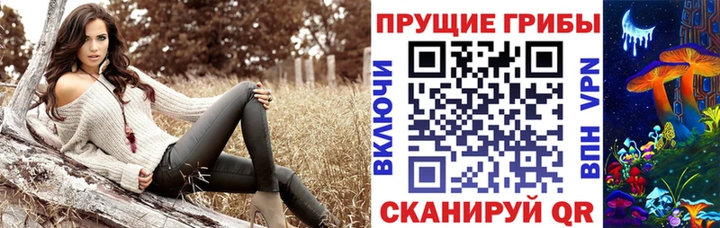 Псилоцибиновые грибы Cubensis  Кушва 