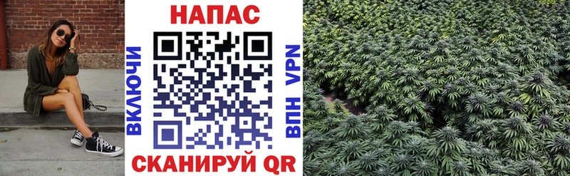 Бошки марихуана семена  магазин  наркотиков  Кушва 